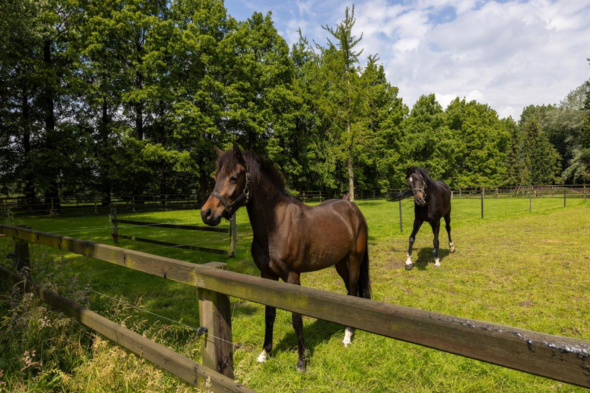 Luxe Hofstede Met Paardenstalling Lunteren Exterior foto